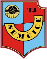 Primary Raster logo